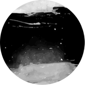 https://www.stella-reading.com/wp-content/uploads/2018/04/planet_02.png